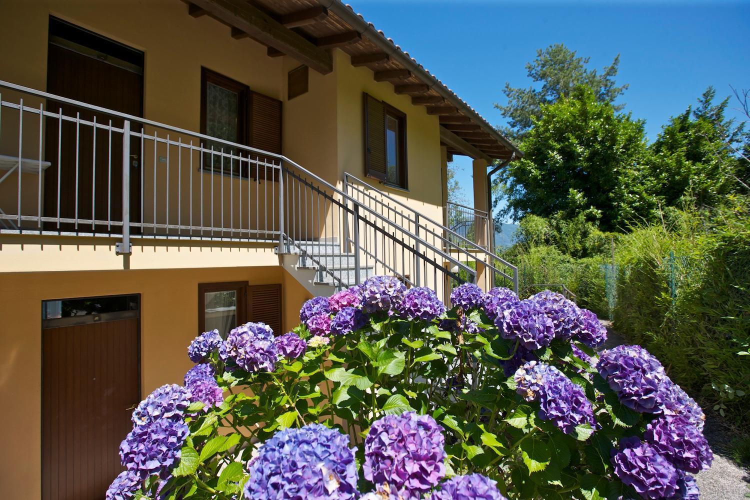 Pino Lago Maggiore Residenz La Fonte Studios מראה חיצוני תמונה